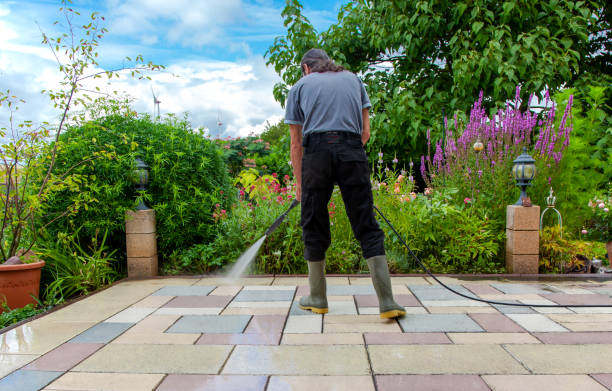 Best Sidewalk and Walkway Cleaning  in Wolverine Lake, MI